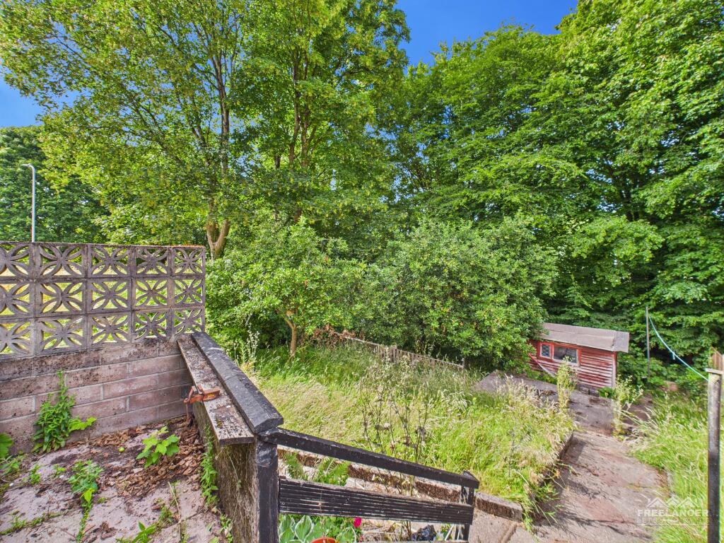 Rear garden v1