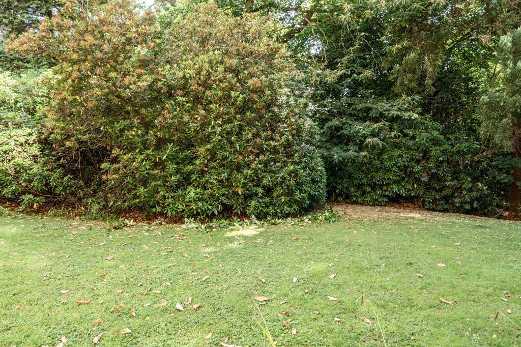 External Grounds