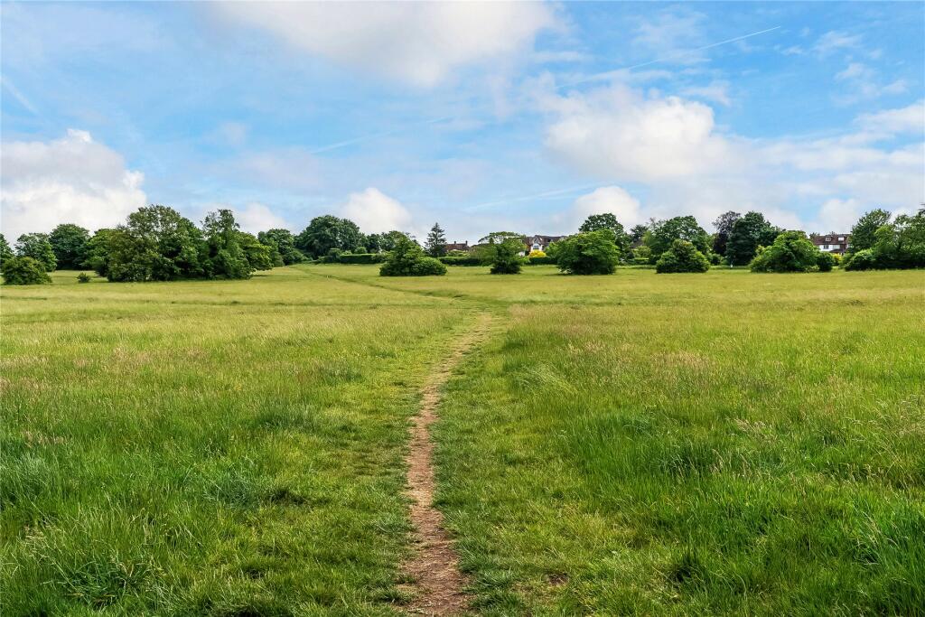 The Downs