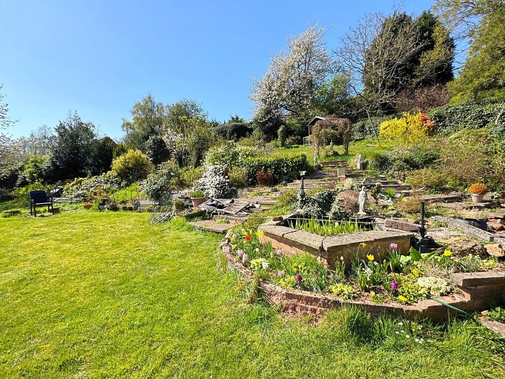 Garden 6
