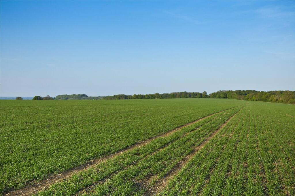 Lot 7 - Arable Land