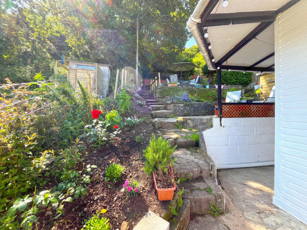 SIDE GARDEN 1 1