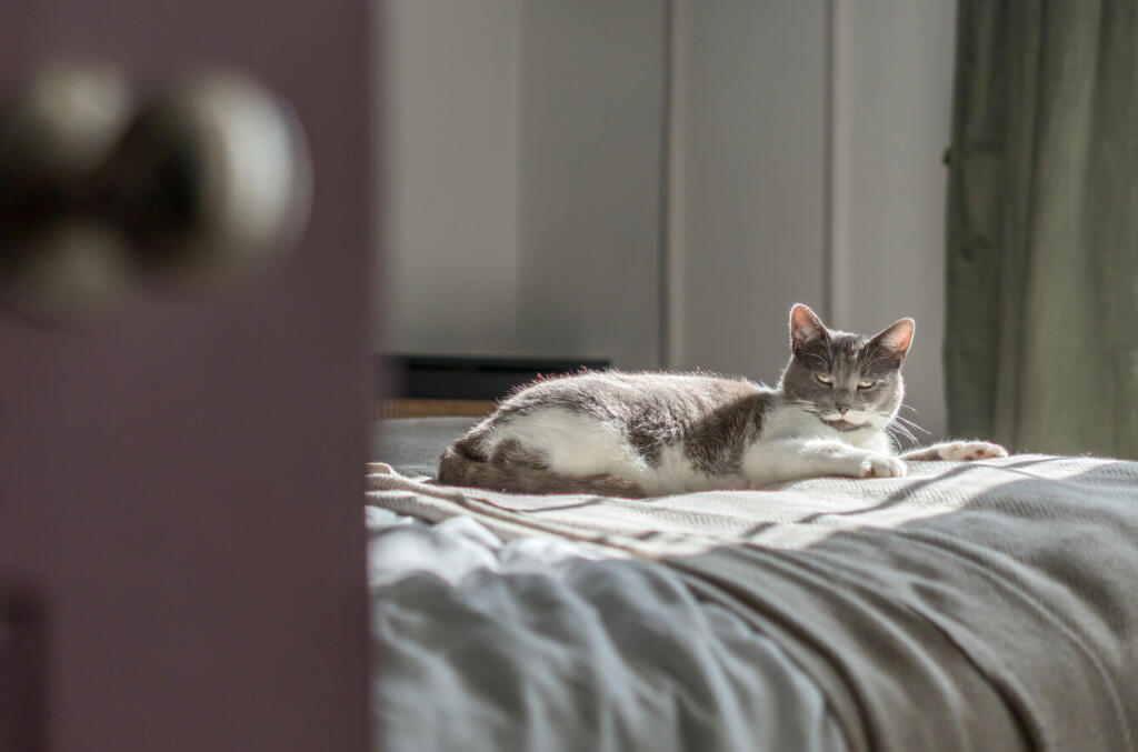 66fa76cc9192e-l-1189896 (19)