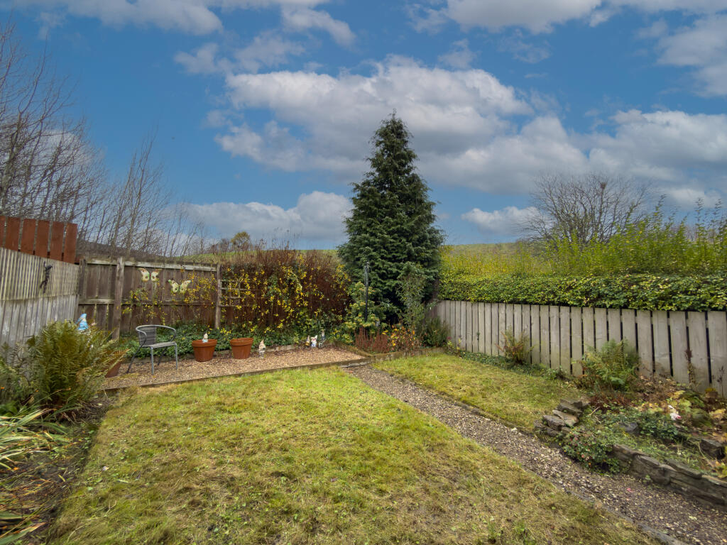 IMG 7975 T202511191825.jpg