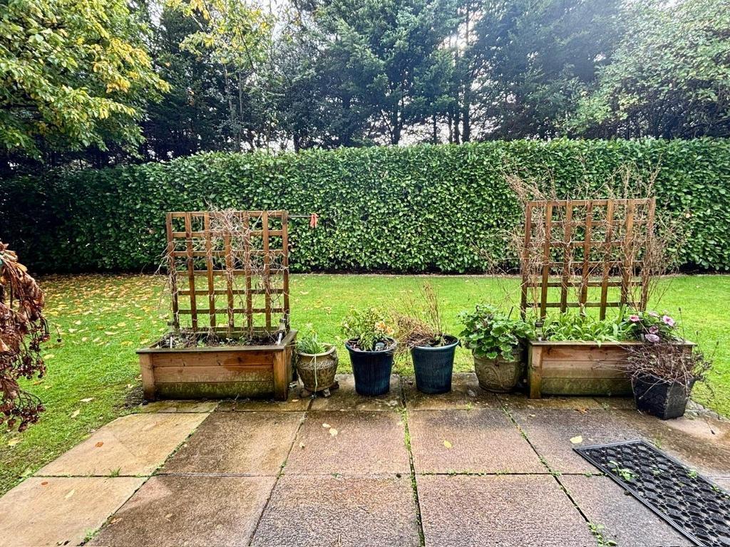 Patio Area Leading From Apartment