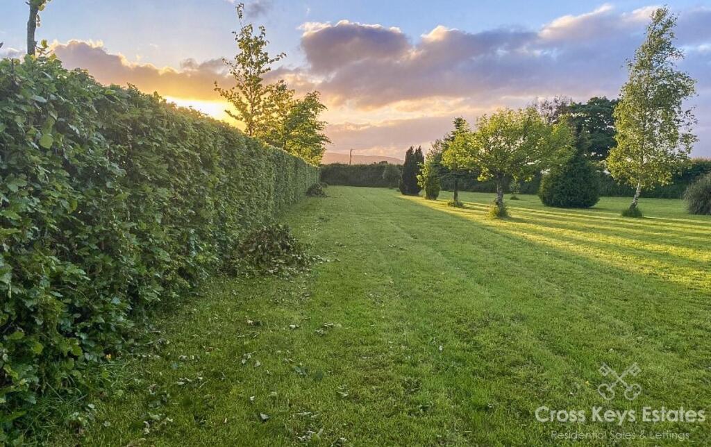 6-Pic 6 - Garden.jpg