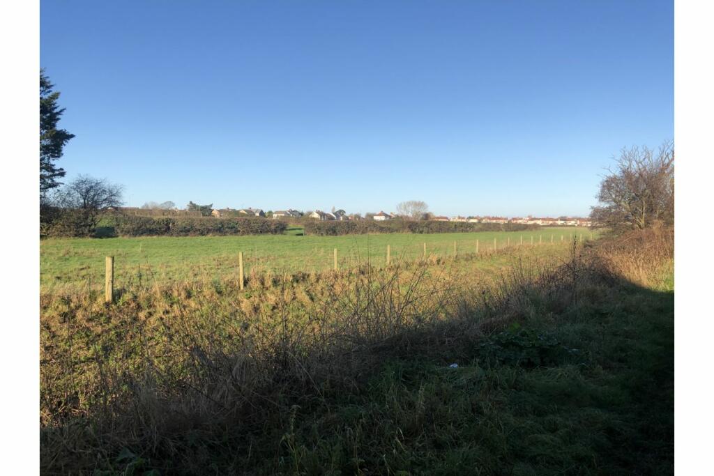 Surrounding Area