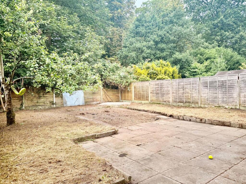 PHOTO-2025-07-11-12-01-34 2.jpg