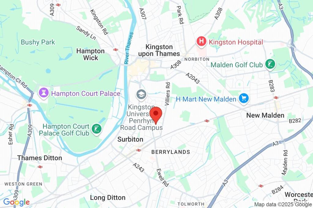 Google Maps Image