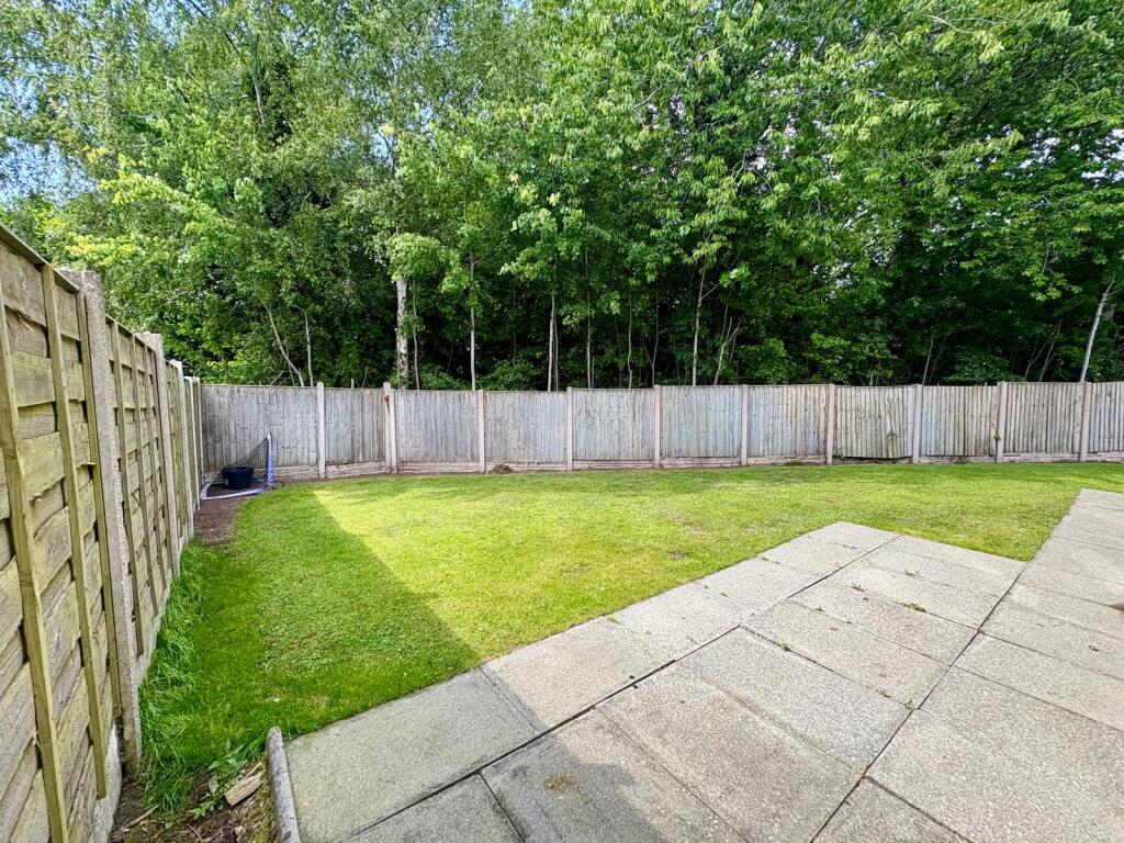 30 St Asaph garden 2.jpg