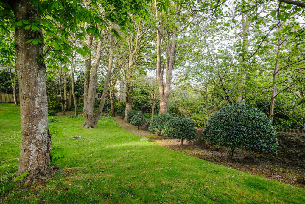 Communal garden
