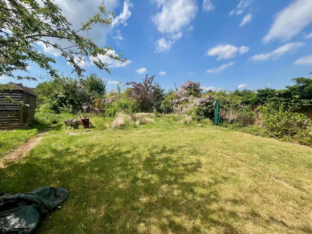 garden.jpg