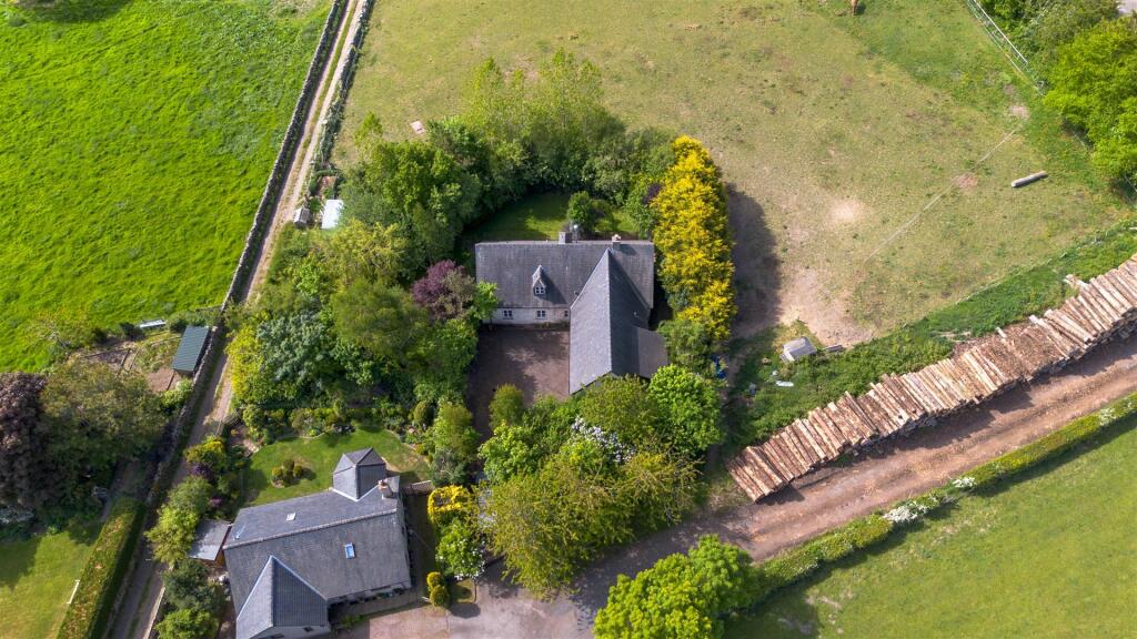 DJI_0730.jpg