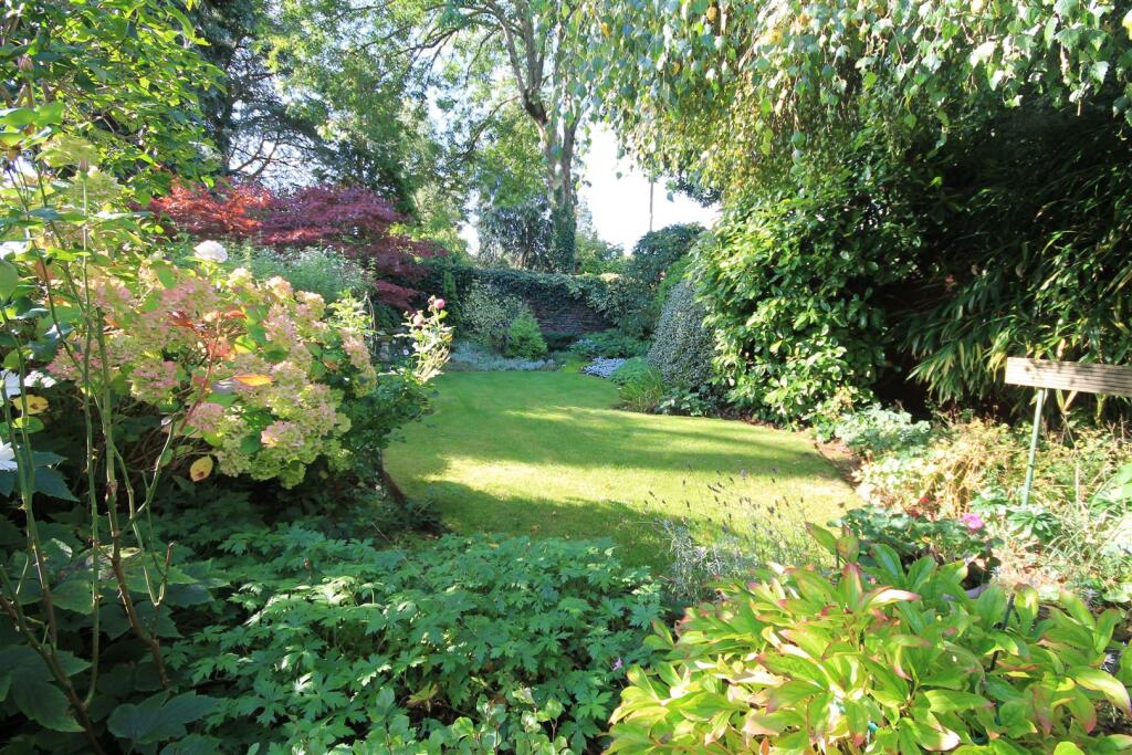 WD Garden v.JPG