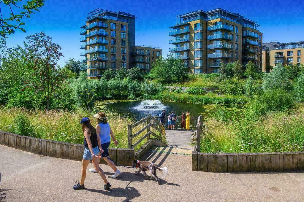 Cator Park