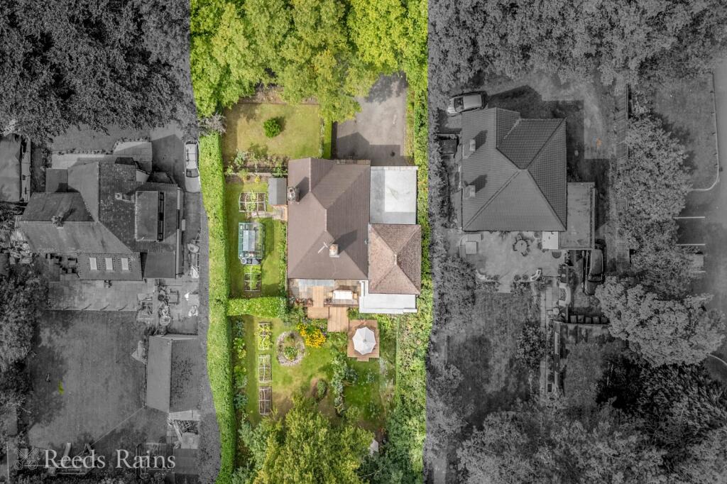 Plot View