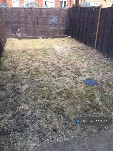 Back Garden