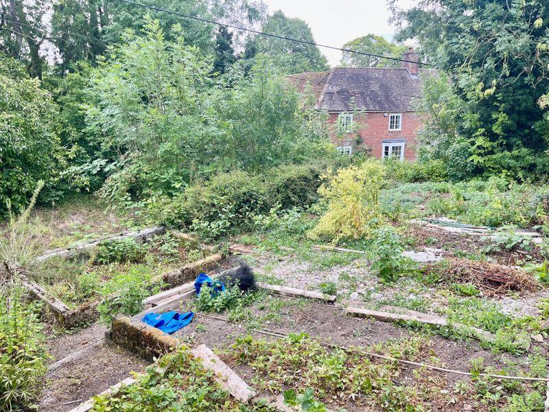 An area for vegetable cultivation