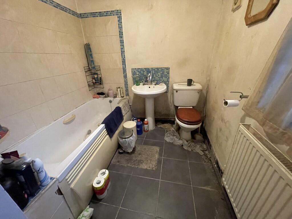 8  Medium  T202601061206.jpg