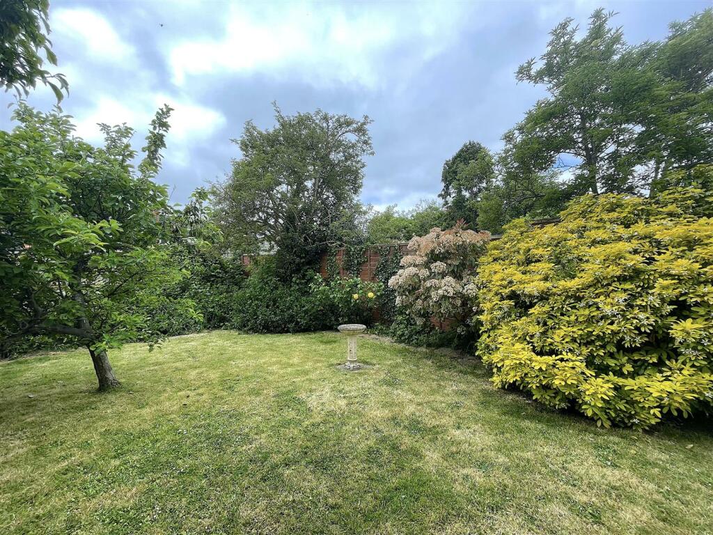Garden (6).jpeg