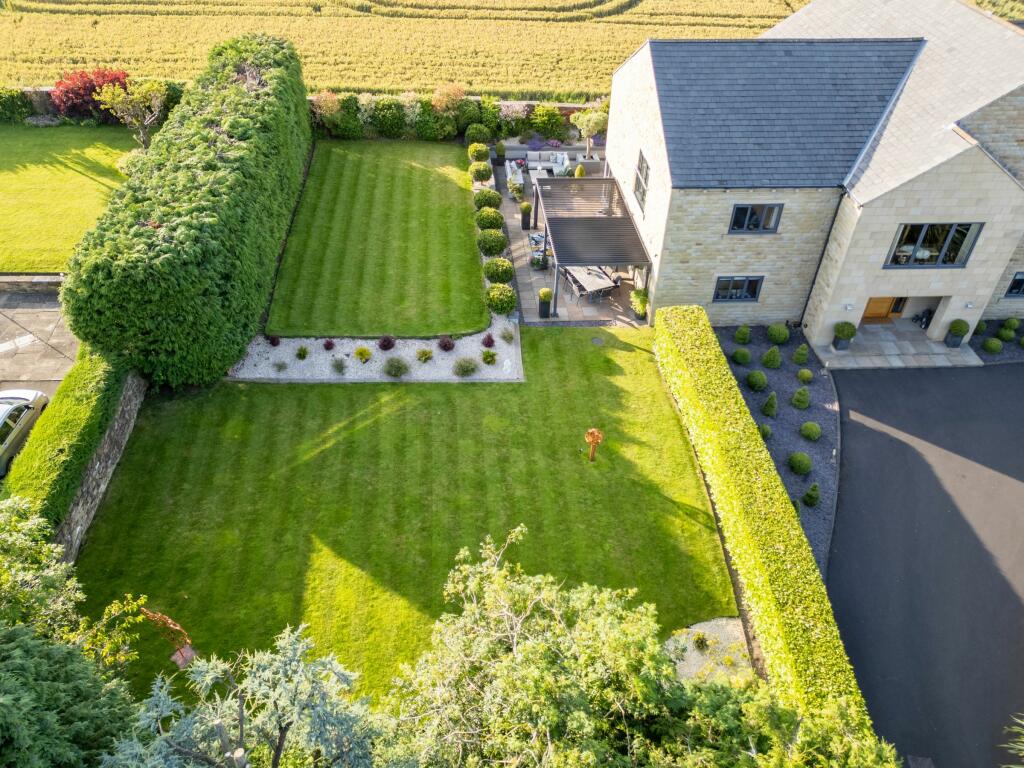 Ariel view of the garden 