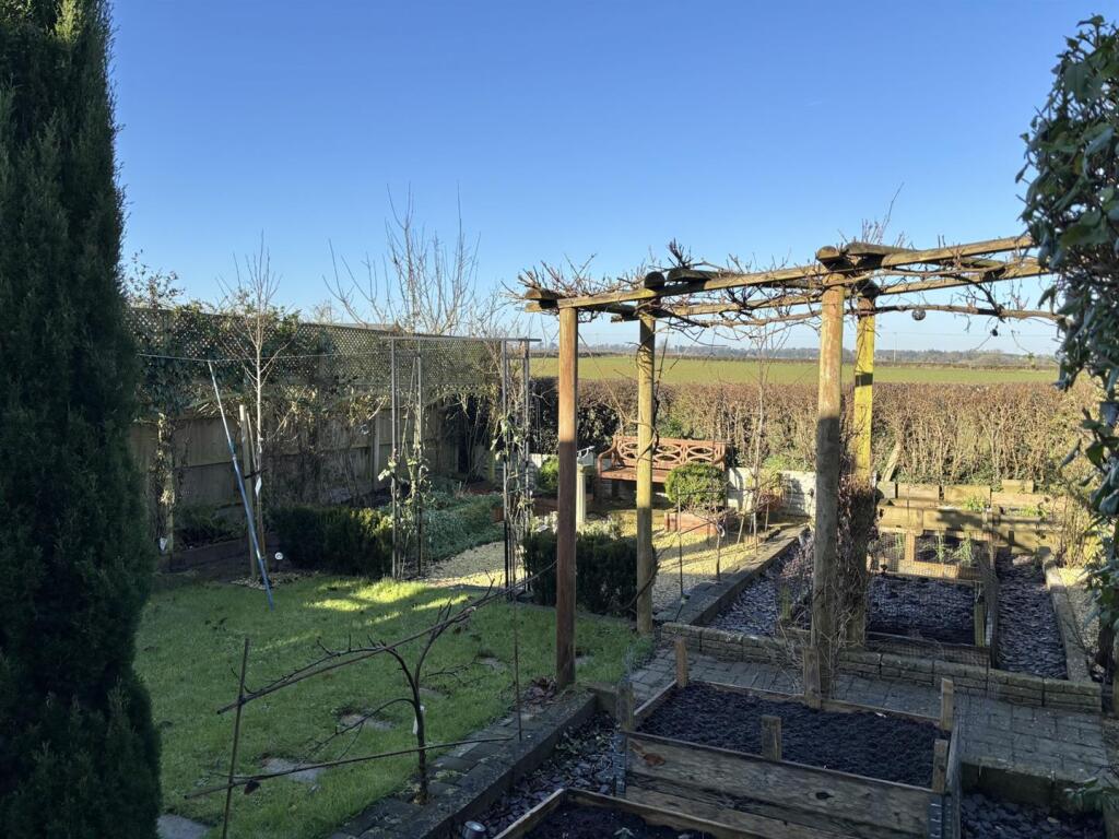 Garden 2.jpg