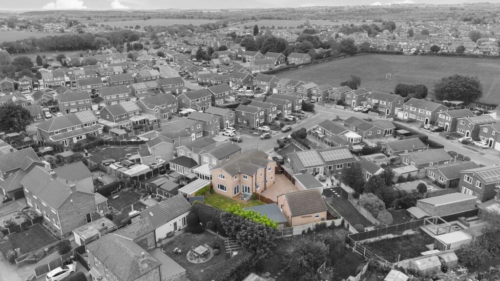 2025-05-08 13.57.07-1.jpg