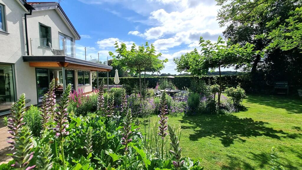 garden