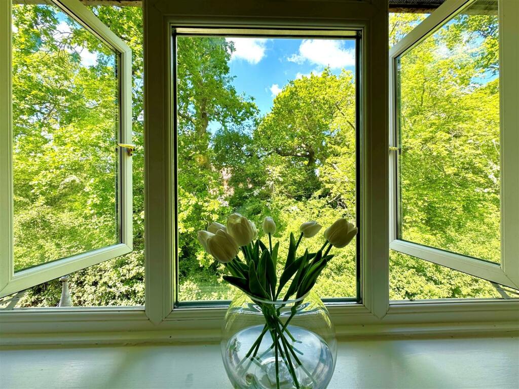 view.jpg