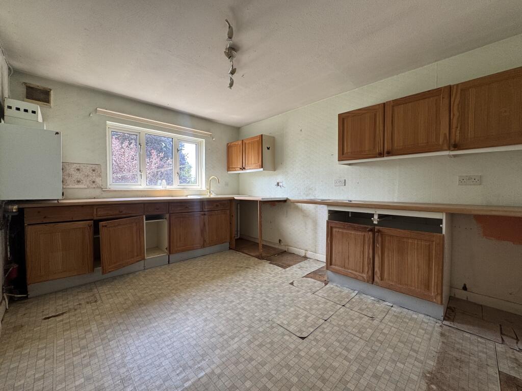 IMG 1098 T202508141031.jpeg