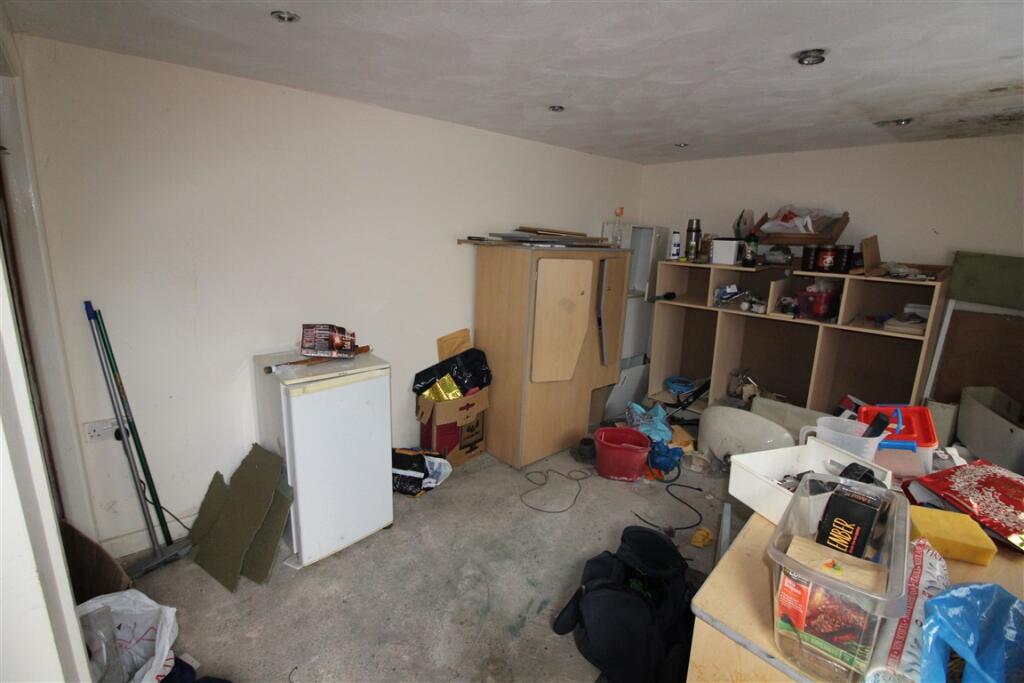 IMG 4285  Medium  T202502031203.jpg