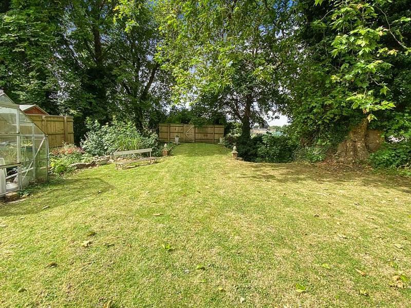 garden.jpg