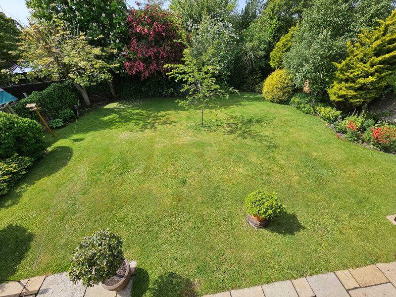 Elevated Garden Outlook