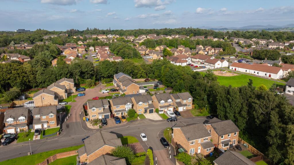Street Aerial Shot