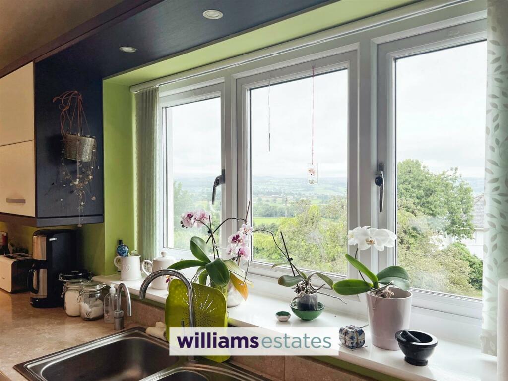 Kitchen Views