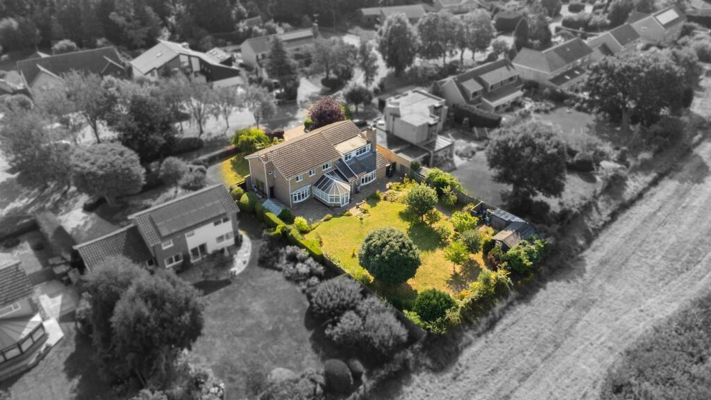 Drone Image