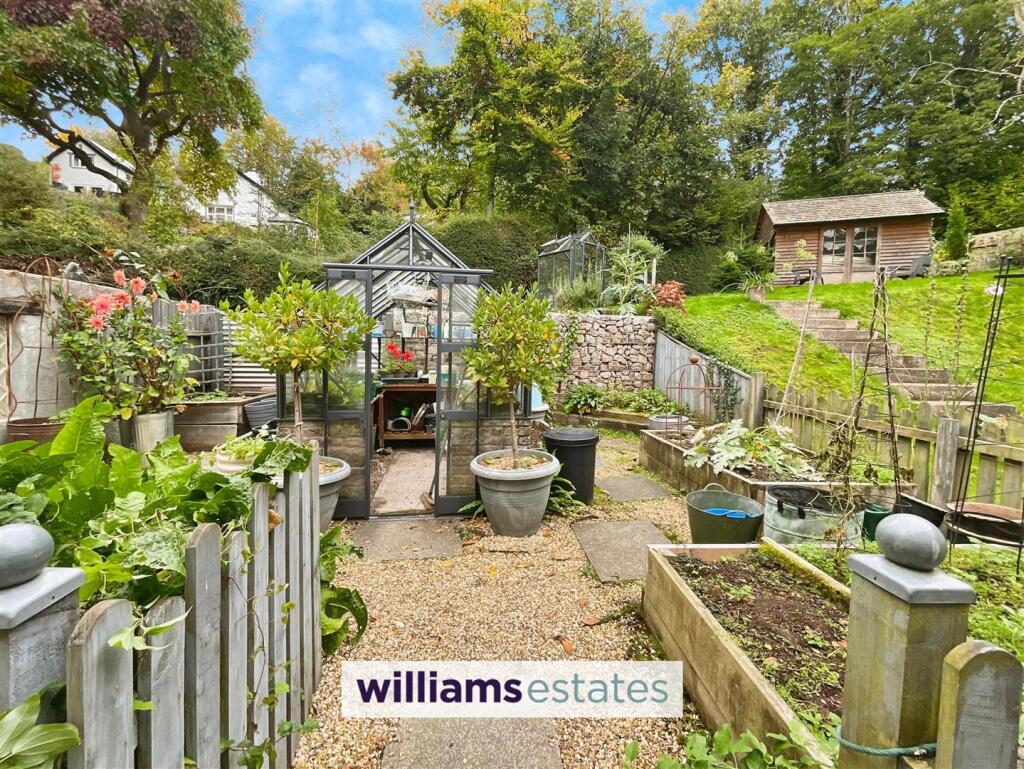 Veg Patch