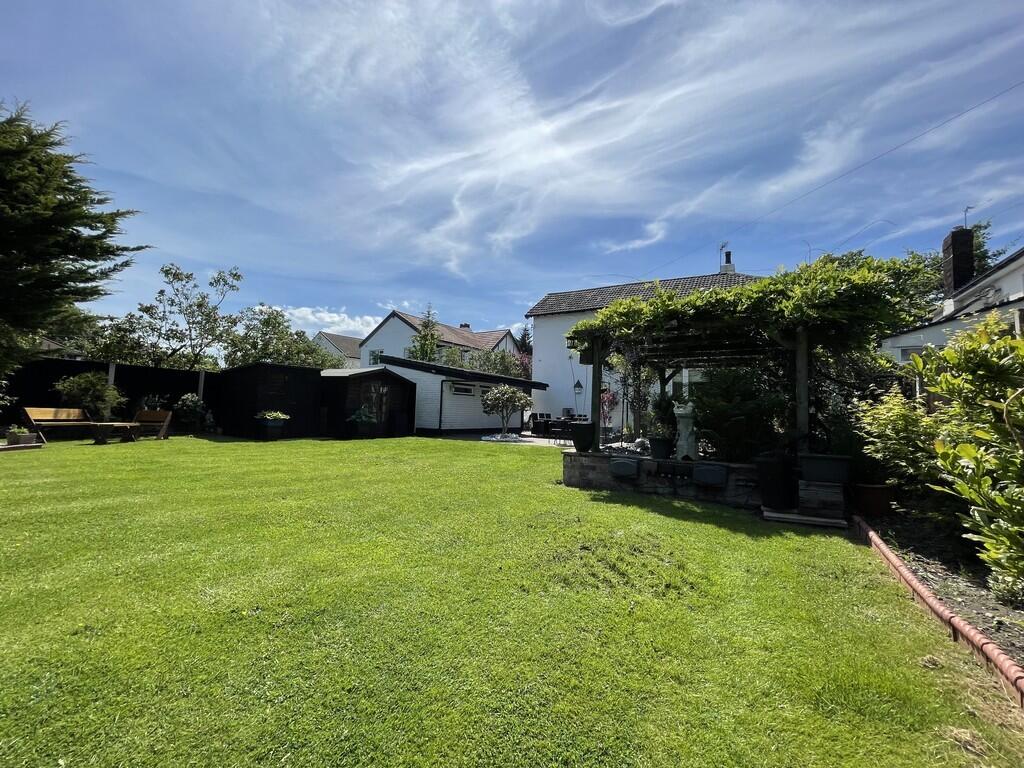 IMG_2201_131_larg...