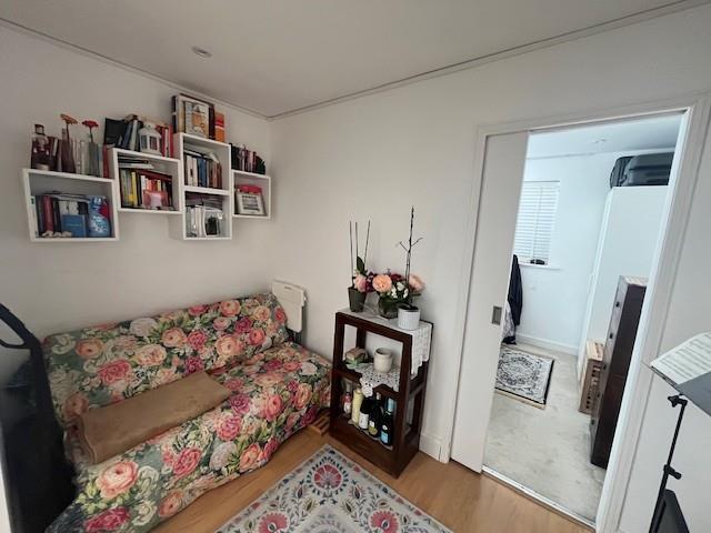 Image - 3.jpg