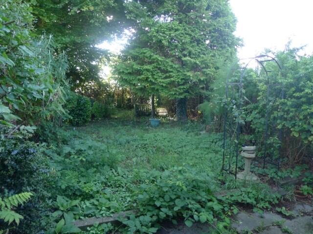 10 (Small) T202409251552.jpg