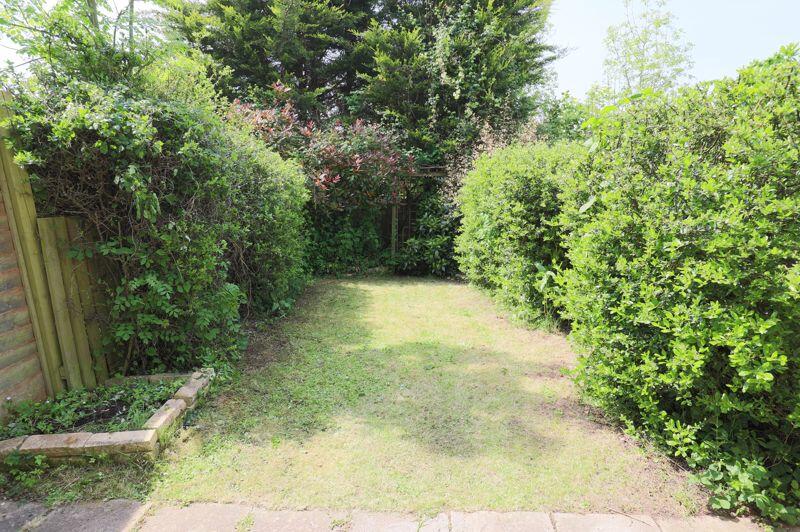 Back garden