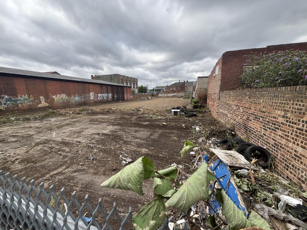 IMG 2622 T202507291111.jpeg