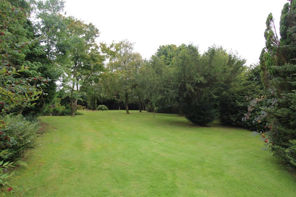 lawns.JPG