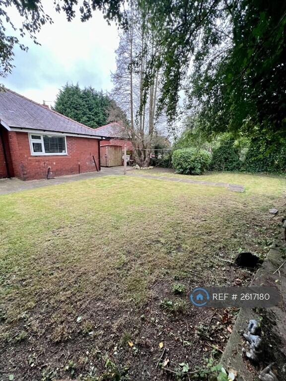 Back Garden