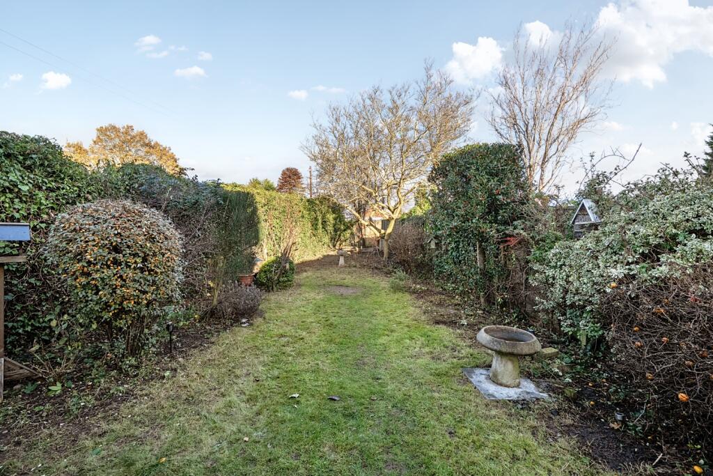 Garden 1