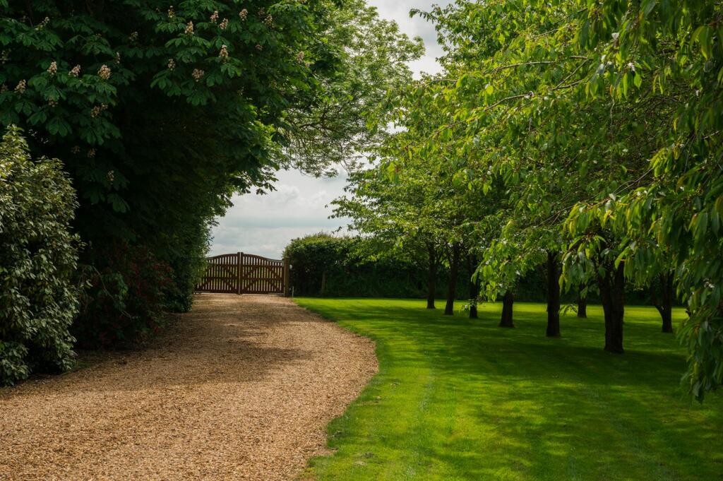 Driveway