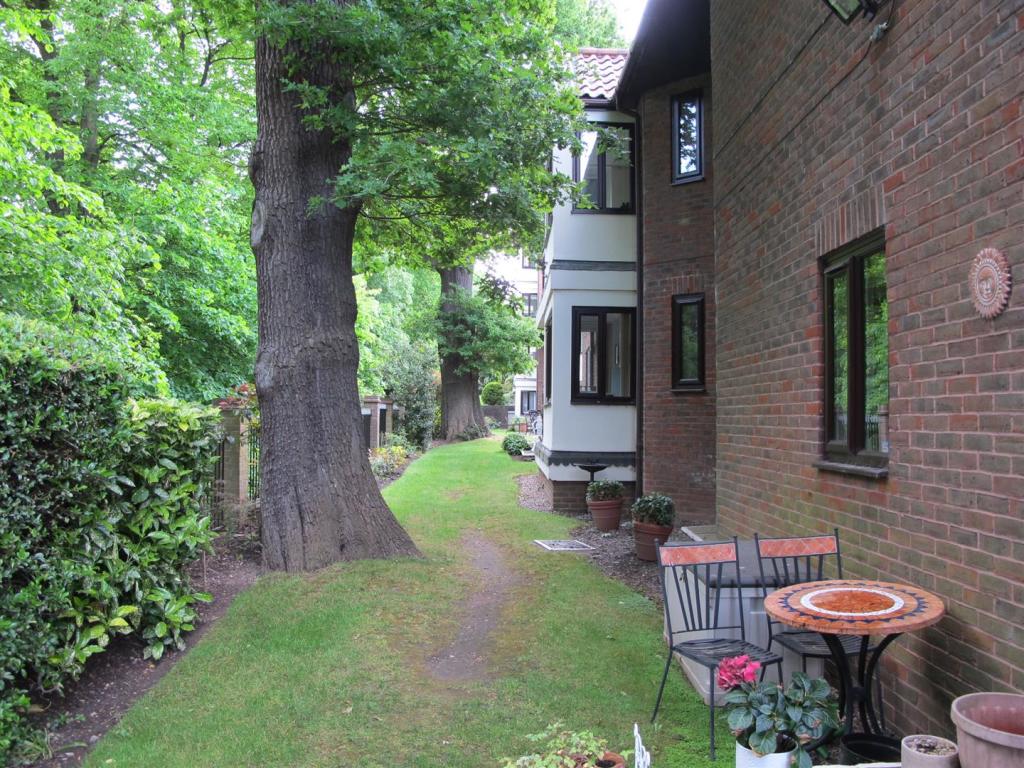 IMG_0521.JPG