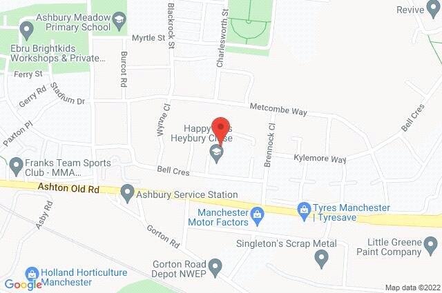 Google Maps Image