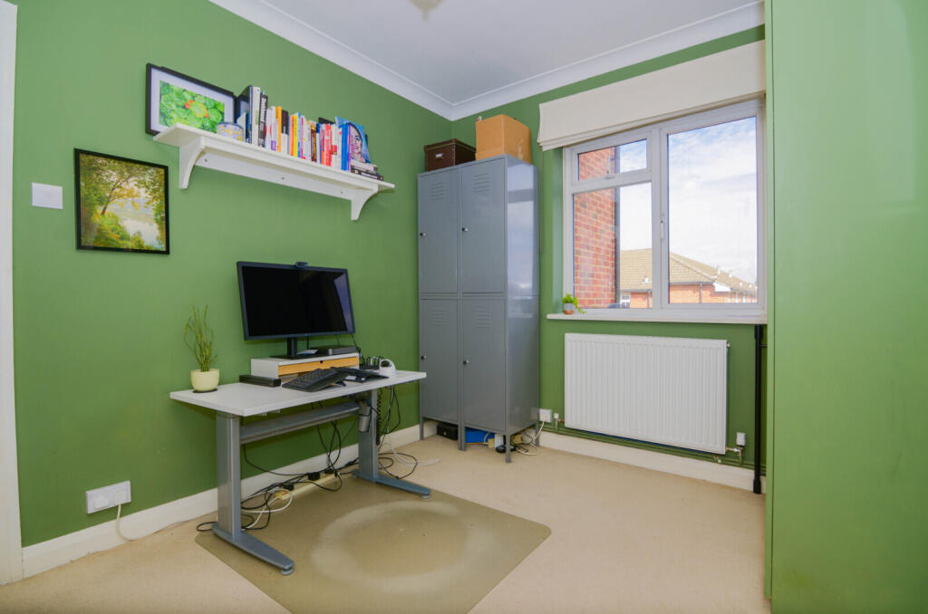 Study Area