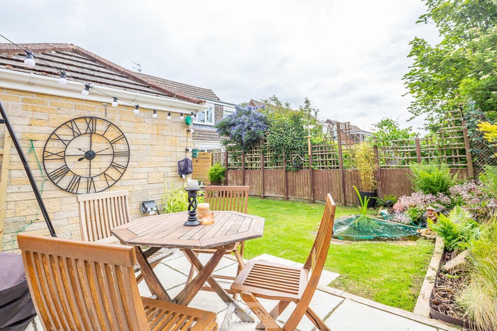 Back garden 1.5